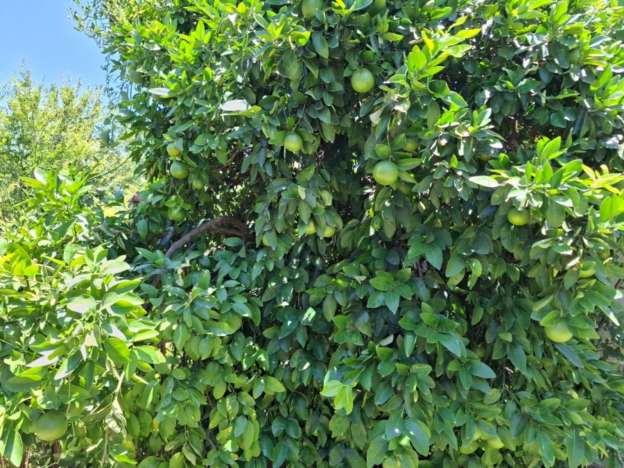 13 Bedroom Property for Sale in Universitas Free State